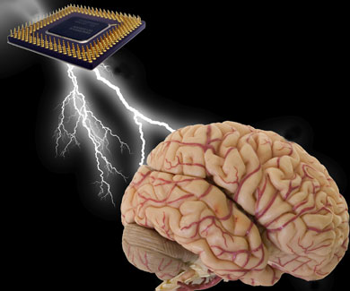 Your brain on Intel Core 1,200 